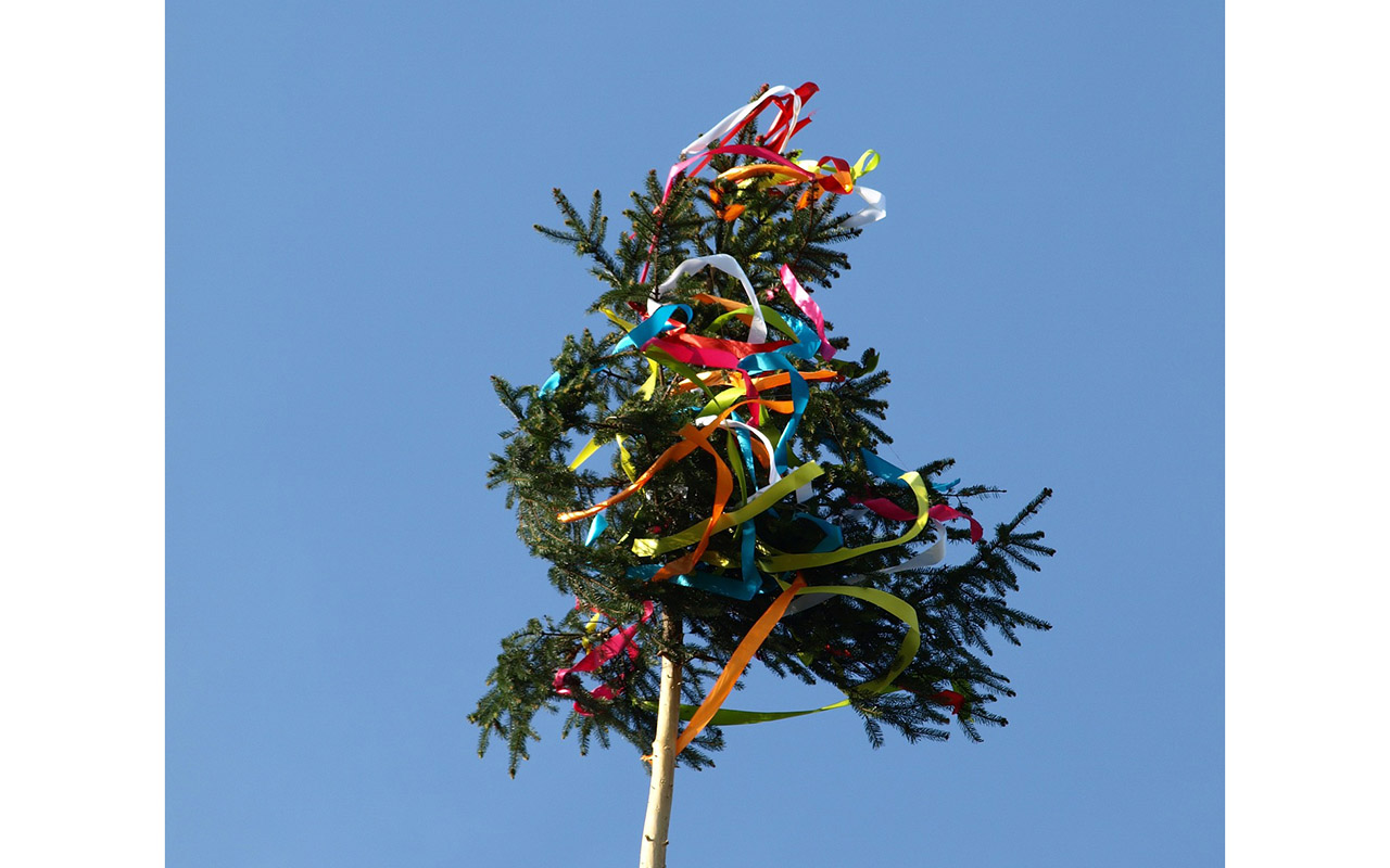 Traditionelles Maibaumaufstellen auf dem Dorfplatz in Wallmenroth