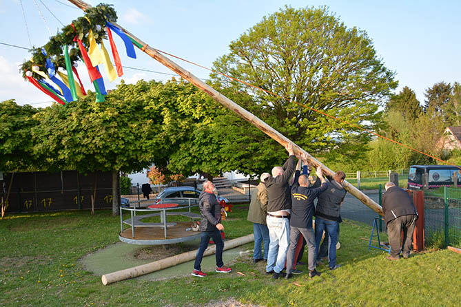 Maibaum in Stockhausen heimlich gekrzt