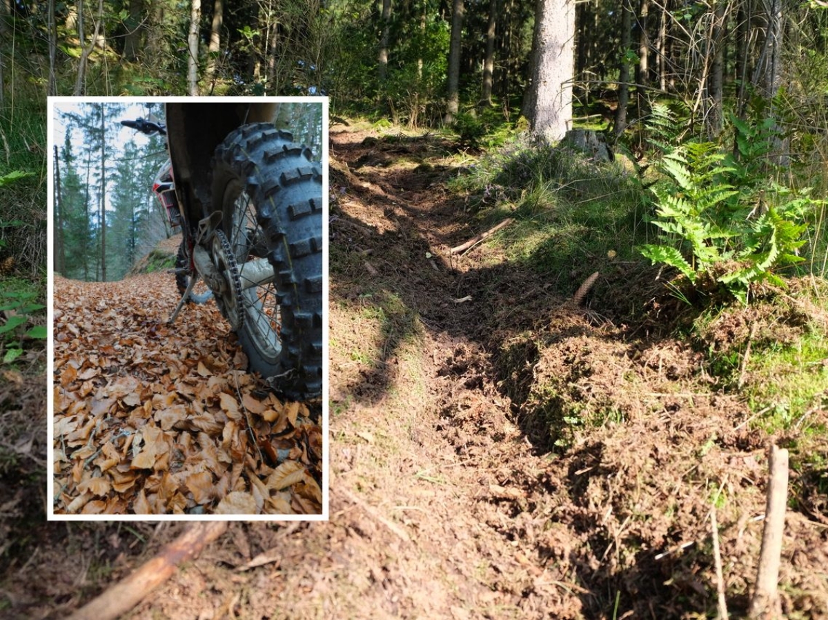 Motocross-Fahrer richteten im Forstrevier Katzwinkel Rauschenbach massive Schden im sensiblen kosystem Wald an, die sich hier durch tiefe Rillen im Waldboden zeigen. (Symbolfoto Motocross: Pixabay/ Restliche Fotos: KathaBe)