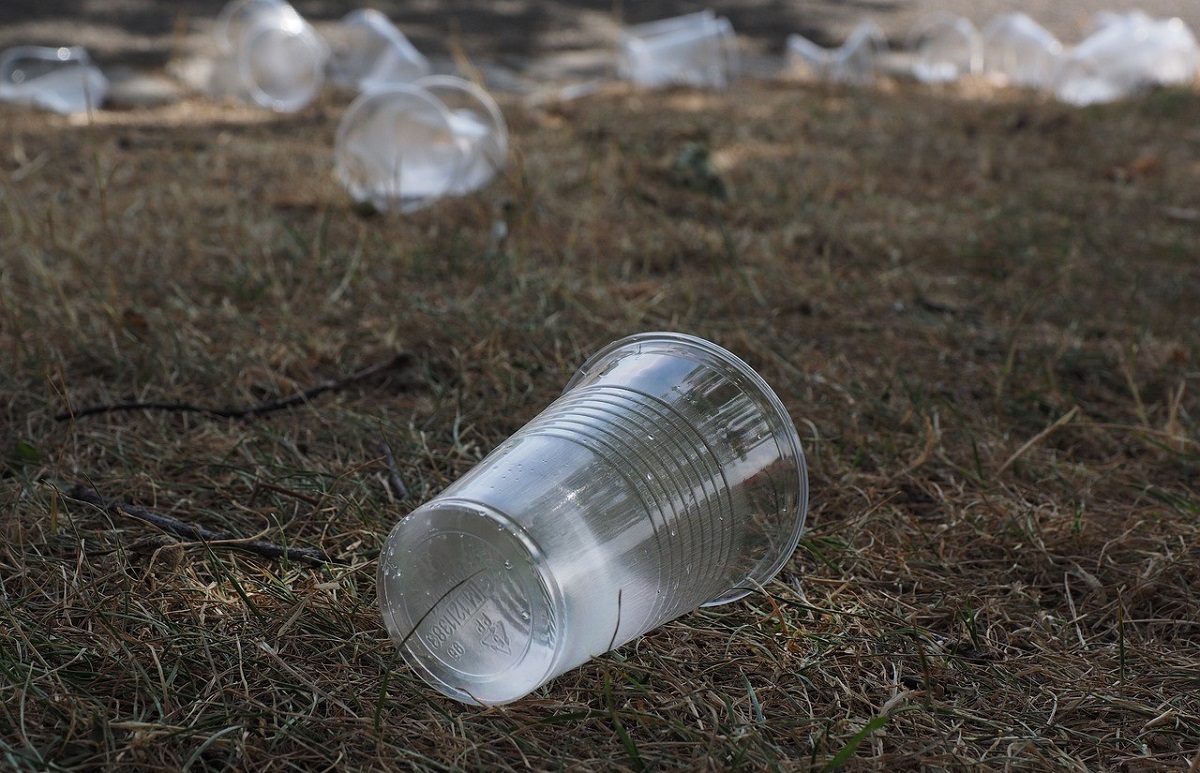 Grnen Dierdorf rufen zum Mitmachen am "World Cleanup Day" auf