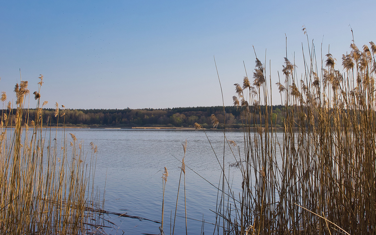 22 NSG-Beauftragte engagieren sich fr Naturschutz im Westerwaldkreis