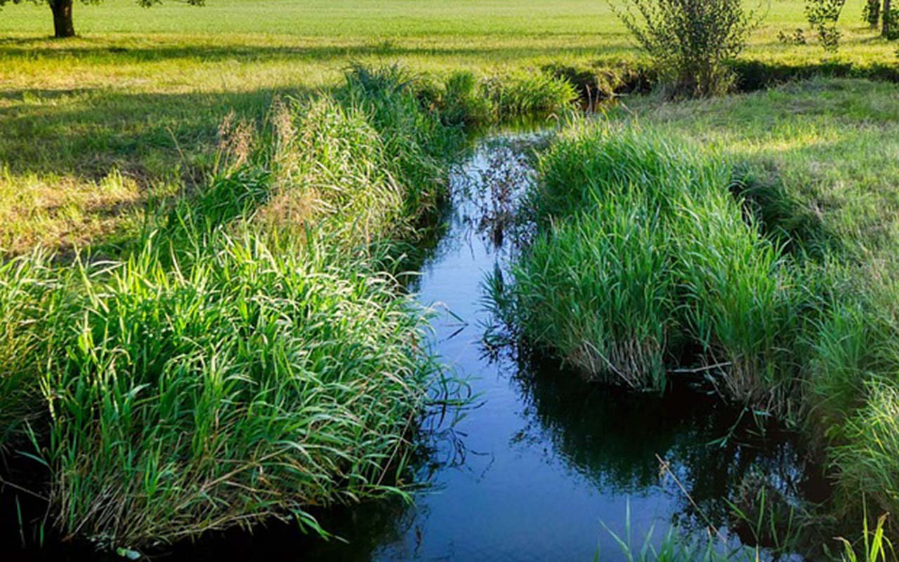 Ehrenamtliche engagieren sich bei den Naturtagen in der Birkenbach-Aue