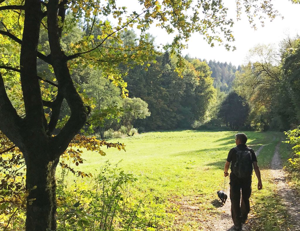 Waldexkursion. Foto: Naturpark Rhein-Westerwald