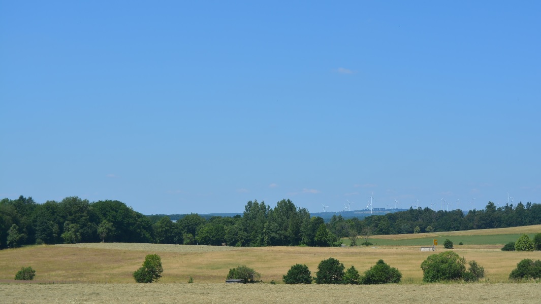 Diese Wiese zwischen den Baumreihen soll Gewerbegebiet werden und den Blick ber den Westerwald verstellen. (Fotos: Wolfgang Rabsch)