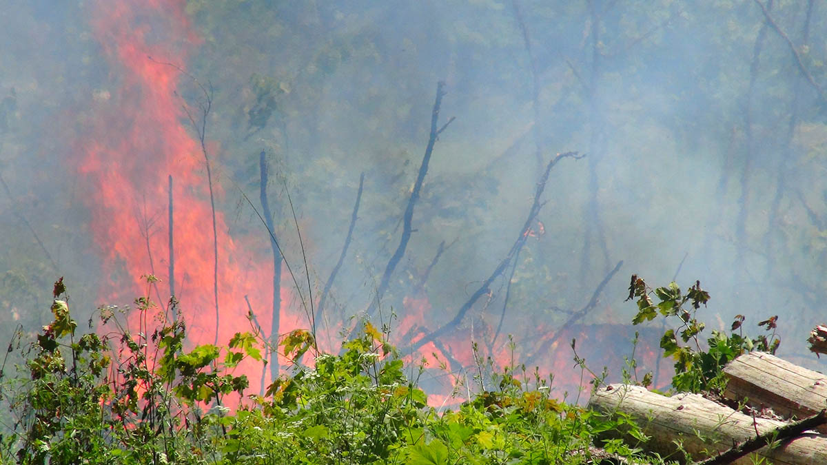 Groer Waldbrand bei Kleinmaischeid durch Brandstiftung?