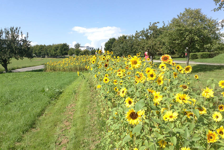 Fotos: Gemeinde