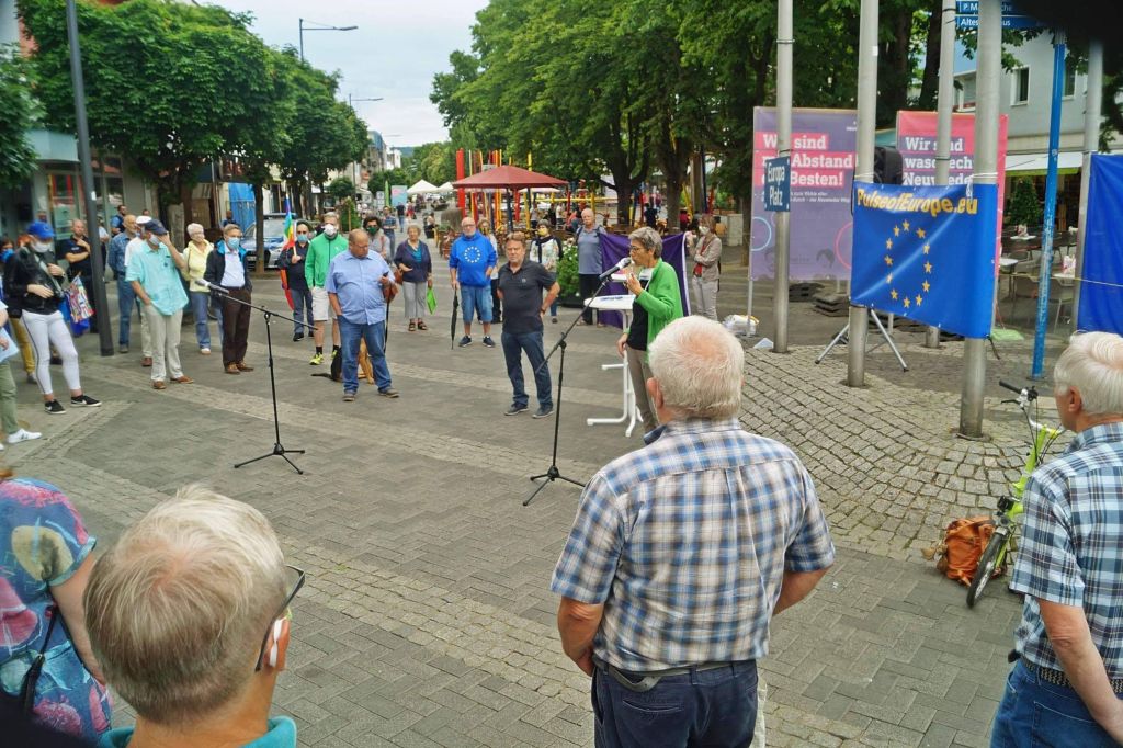 Die Zukunft Europas im Bundestagswahlkampf