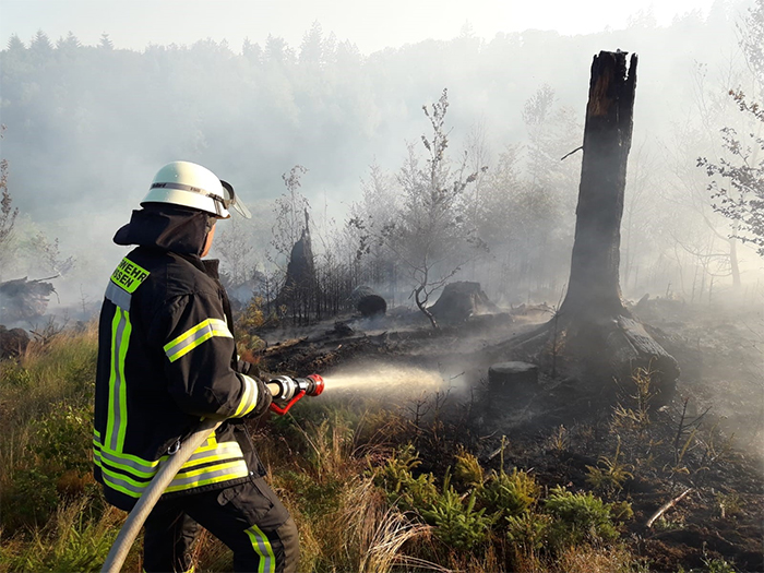 Kreis Altenkirchen: Waldbrandgefahr durch extreme Trockenheit