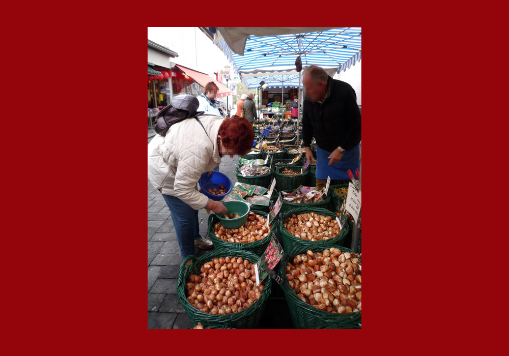 Simon-Juda-Markt: Alte Tradition trifft auf buntes Markttreiben