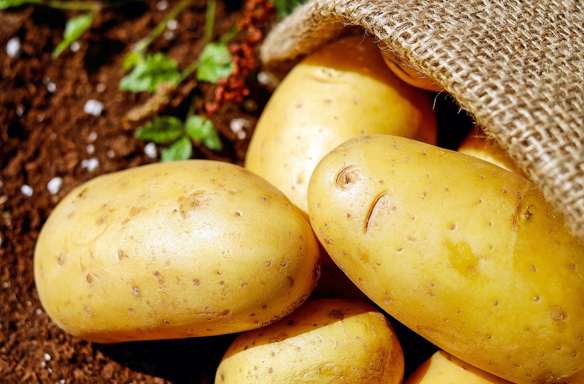 22. Schnsteiner Kartoffelfest mit Beginn des Herbstpreisschieens