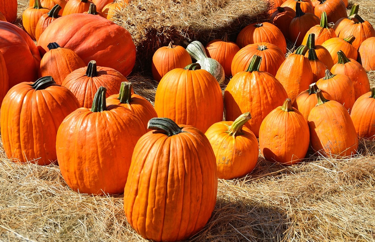 Oktobermarkt in Montabaur - Angebote fr die ganze Familie