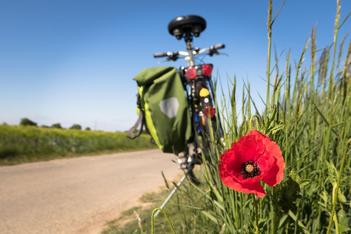 Genussradeln im Westerwald: Entdecken Sie Natur und Genuss