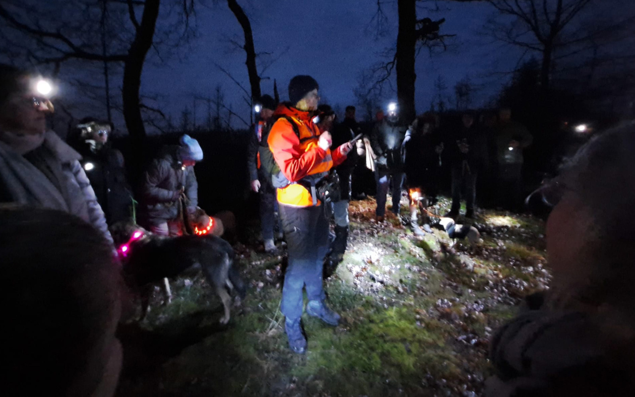 90 Wanderbegeisterte erkundeten "Rauen Stein" im Amterother Wald