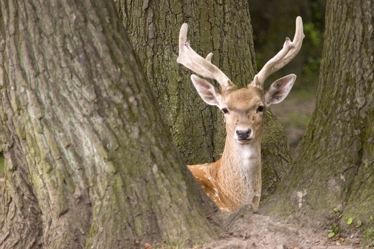 Symbolfoto: Wolfgang Tischler