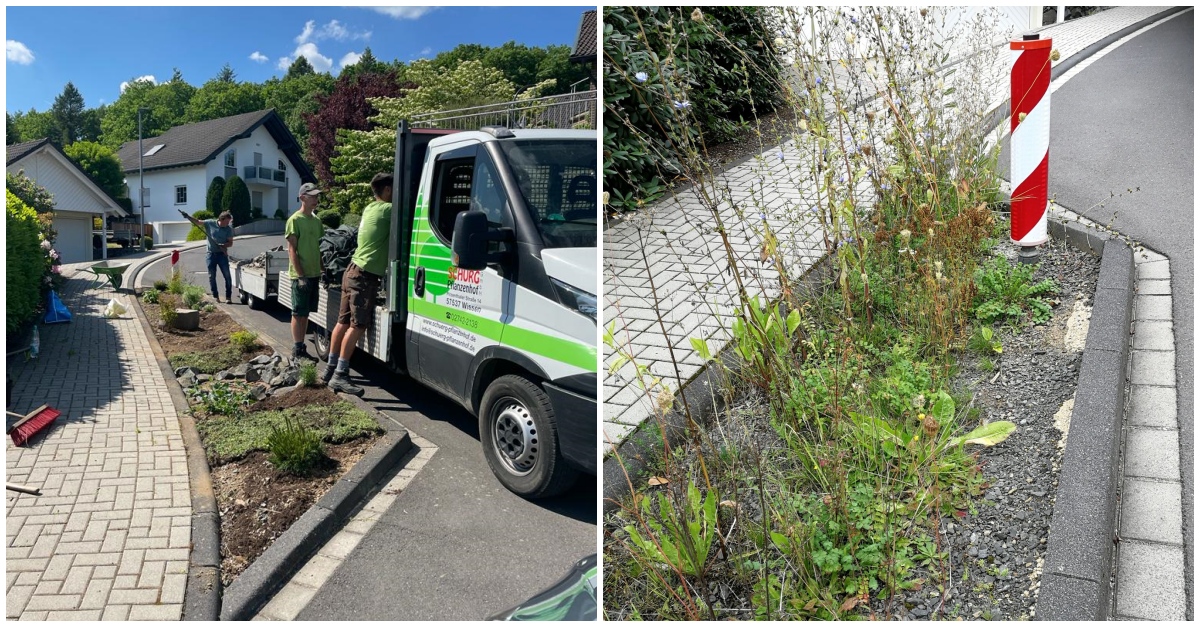 Die Rigolen im Katzwinkeler Magnolienweg zeigten sich in den letzten Jahren wenig ansehnlich. Jetzt wurden sie aufgefrischt und zeigen sich gepflegt. (Fotos: KathaBe/Gemeinde/PR)