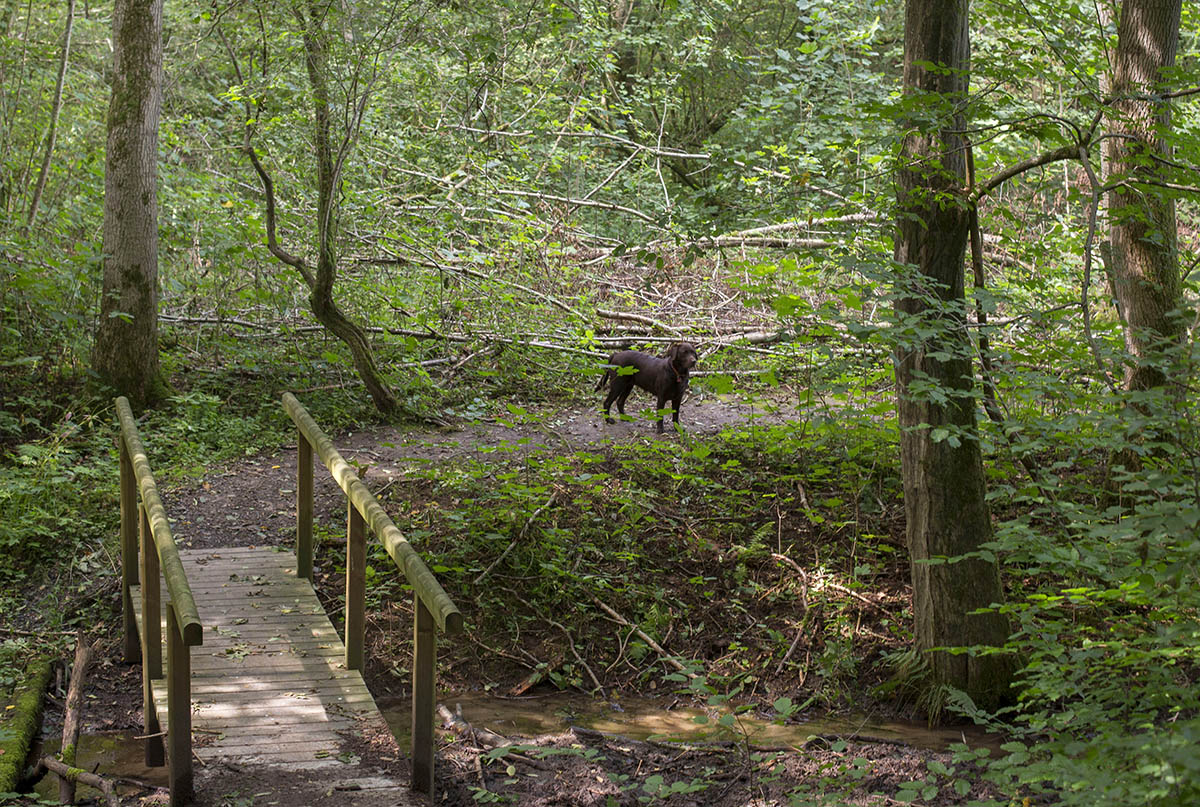 Maiwanderung rund um Giershofen