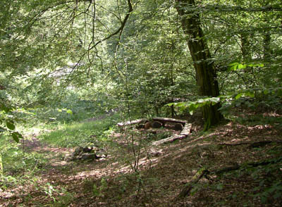 Die Andachtsstelle im Ruheforst. Foto: Hatzfeldt-Wildenburgsche Verwaltung