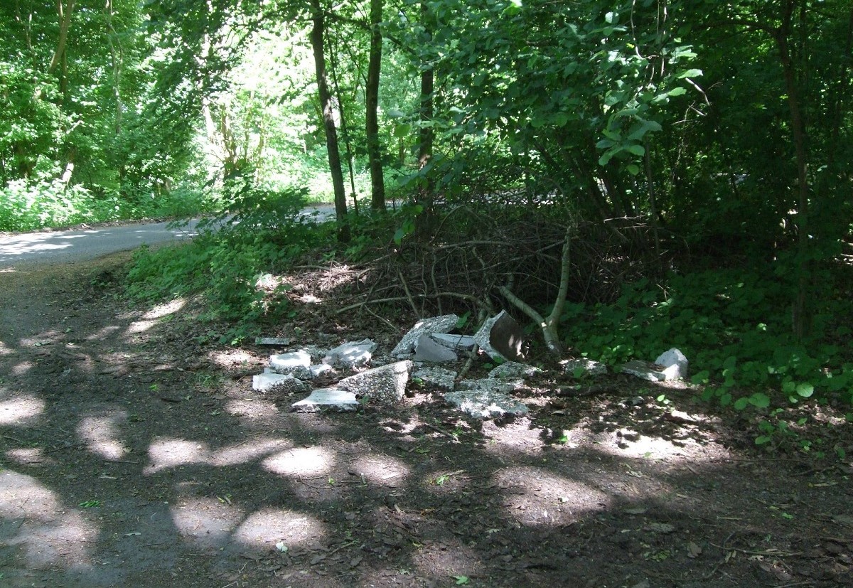 (Foto: Verbandsgemeindeverwaltung Altenkirchen-Flammersfeld)