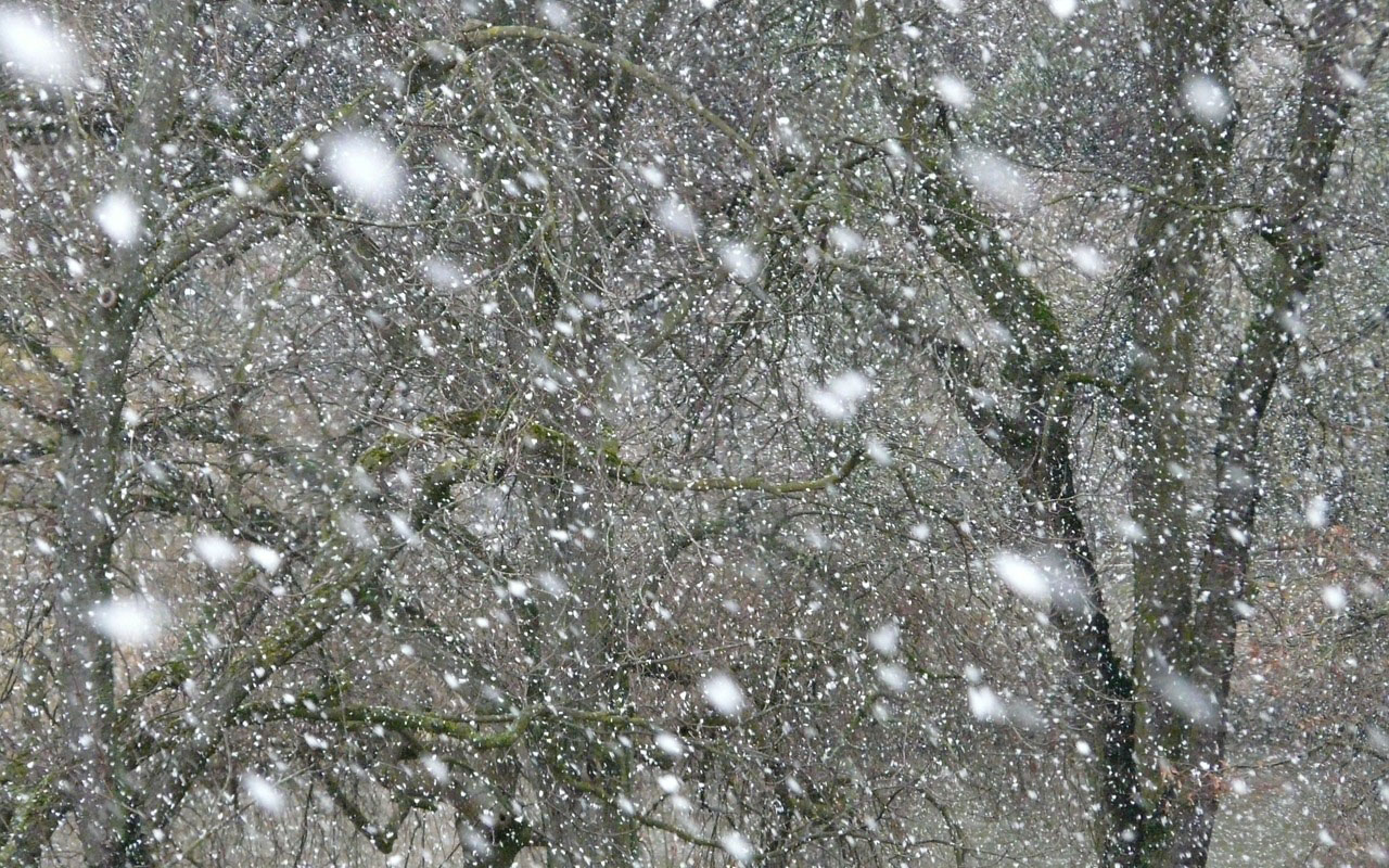 L272 bei Asbach: Riskantes berholmanver bei starkem Schneefall