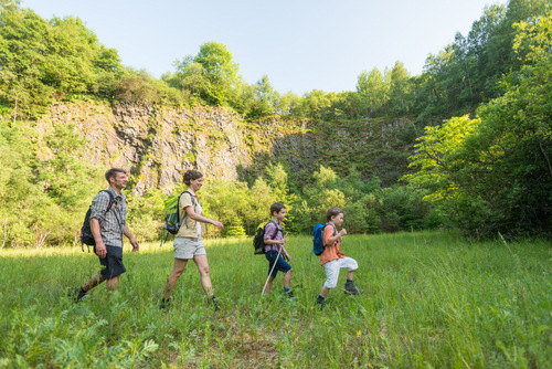 Die Themenwanderung Kruter und Basalt fhrt unter anderem durch die Bacher Lay. (Foto: Tourist-Info Bad Marienberg) 