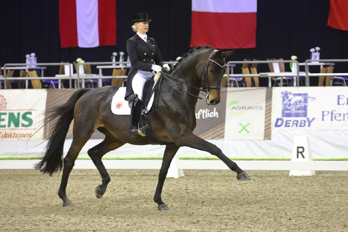 Trakehnerstute TSF DALERA BB mit Jessica von Bredow-Werndl. (Fotos: Landesverband der Trakehner Zchter)