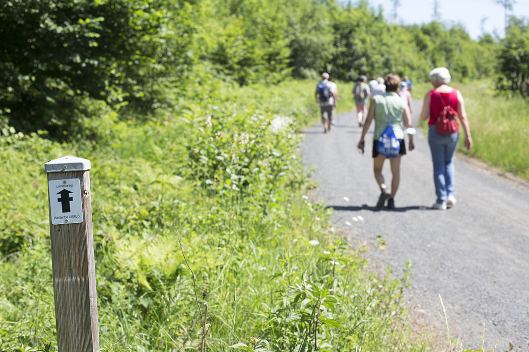 Wanderungen, Exkursionen im Juni 2023 