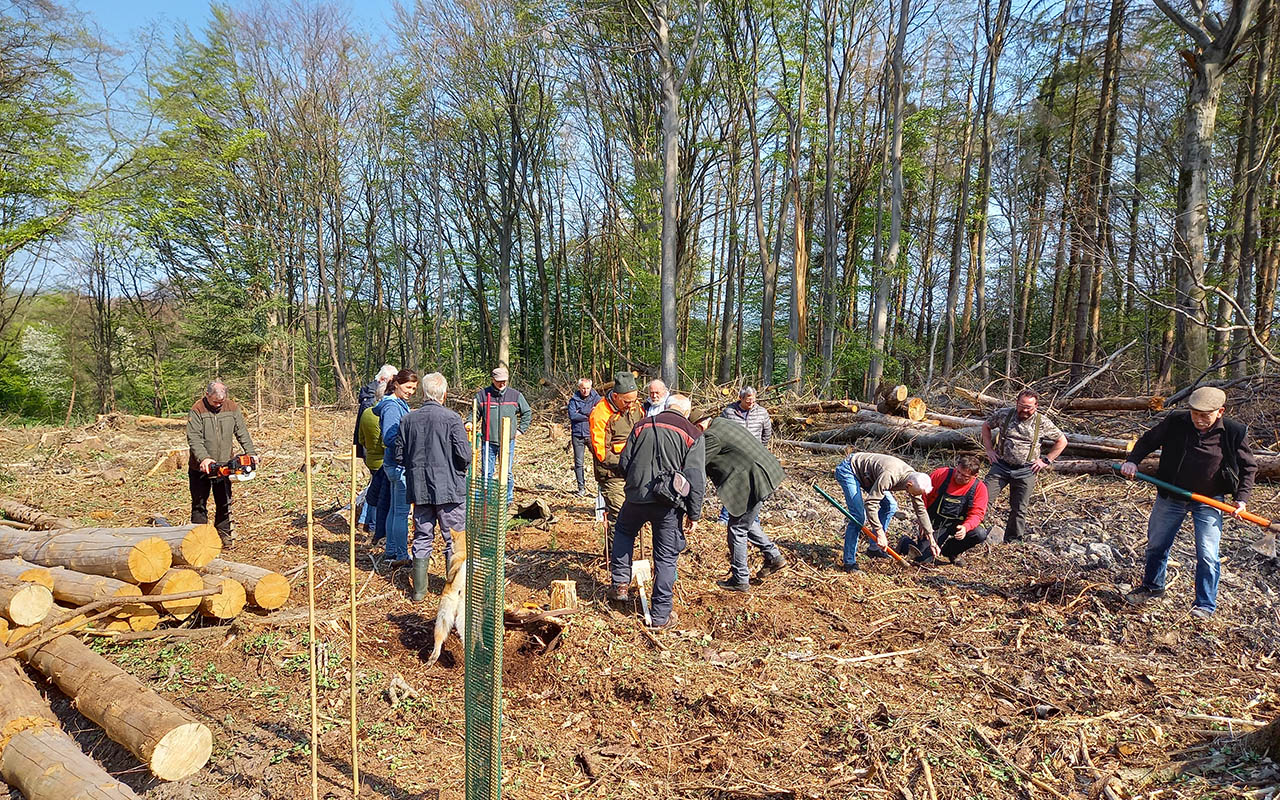 Waldbesitzer packen bei einer Baumpflanzaktion an. (Foto: Waldwrts Rhein-Wied)