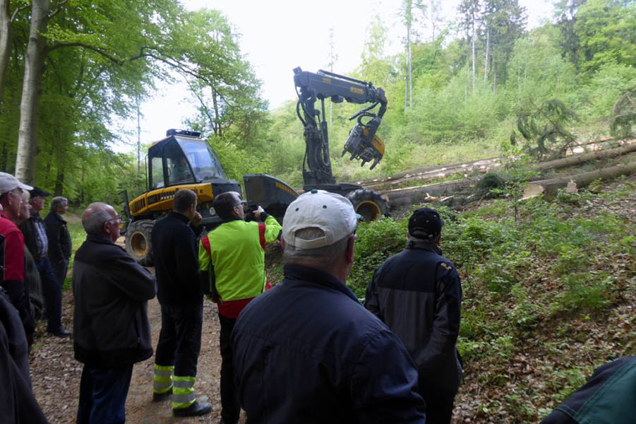 Orkanschden sind eine waldbauliche Herausforderung