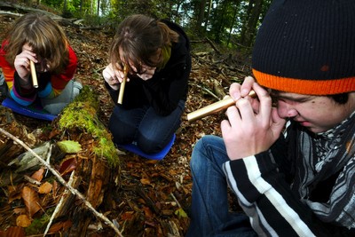 Schler erforschen den Wald bei den Wald-Jugendspielen. (Foto: Landesforsten RLP/Markus Hoffmann)