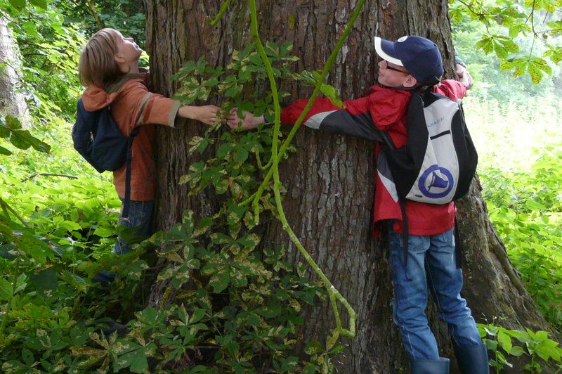 Waldspiele. Foto: privat