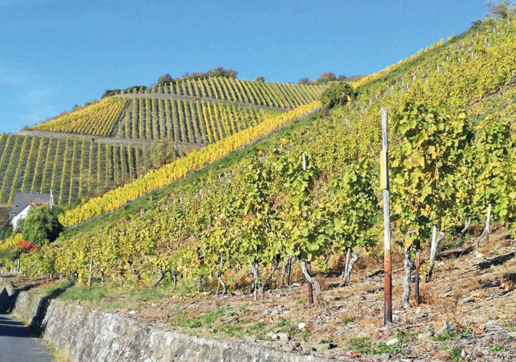 Beim Wandern Wichtiges ber Wein erfahren