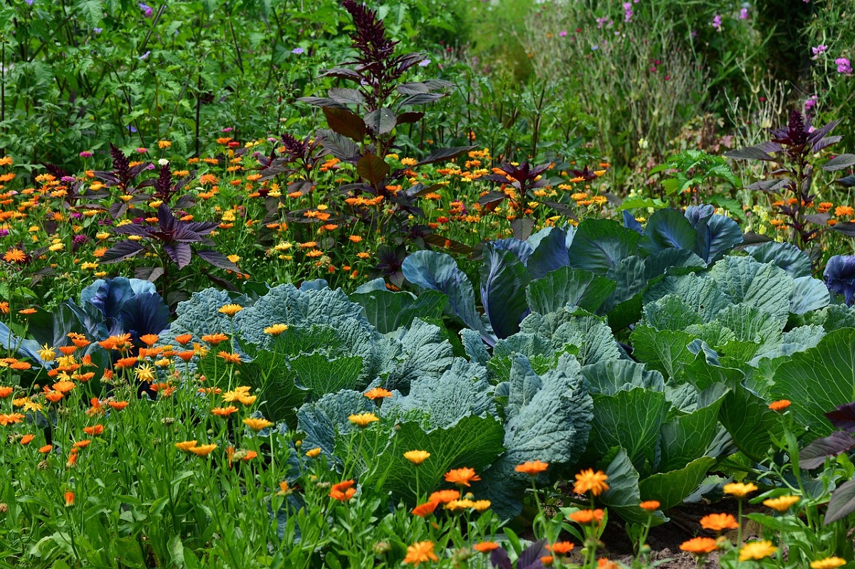 Klimafester Garten - Workshop der Kreisvolkshochschule Neuwied