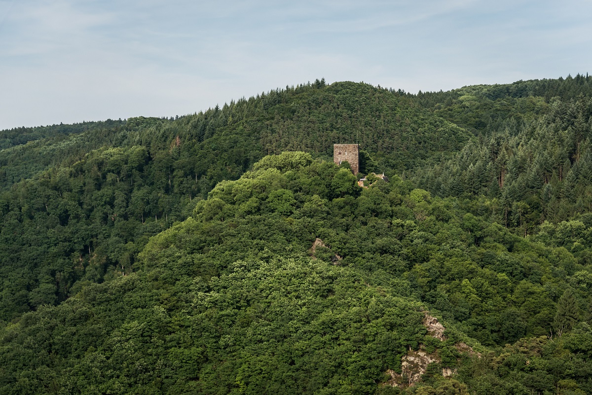 Umleitungen und Sperrungen an den Wanderwegen im Fockenbachtal 