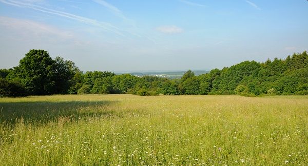 Naturkundlicher Spaziergang im Schimmelsbachtal
