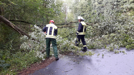 Umgestrzte Bume blockierten Straen in der VG Hamm