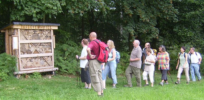 Bei Wanderungen des Westerwald-Vereins Buchfinkenland gibt es in der Natur vieles zu entdecken.