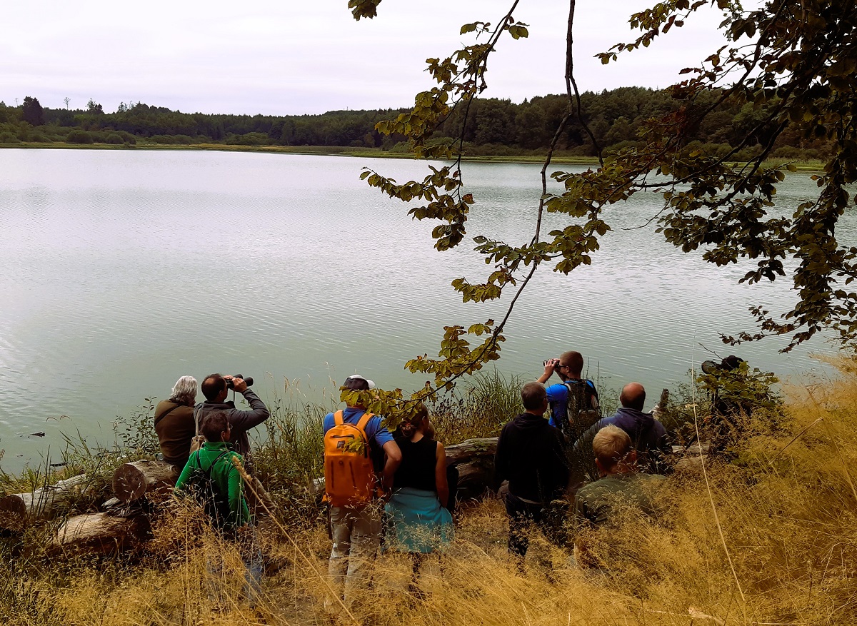 NABU-RLP bildet Wller Seen Scouts aus: Ausbildungsangebot startet im Herbst