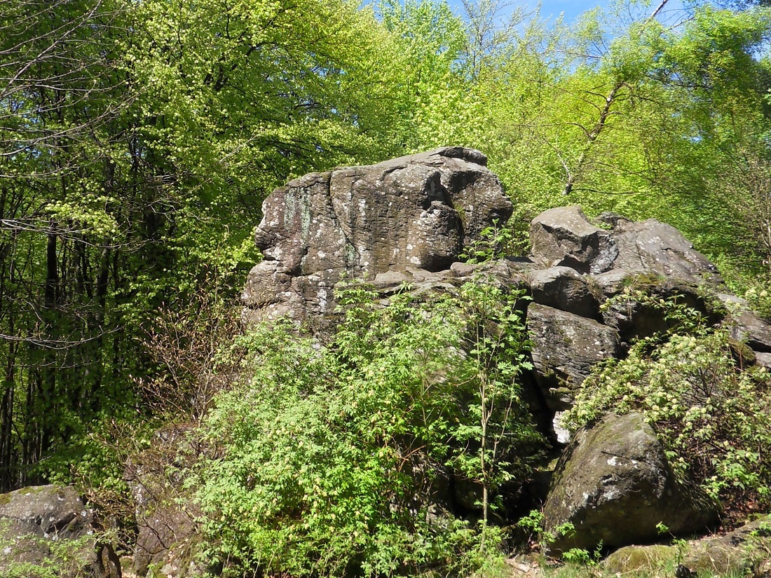 Westerwaldverein Bad Marienberg: Kleeblattwanderung bei Rotenhain