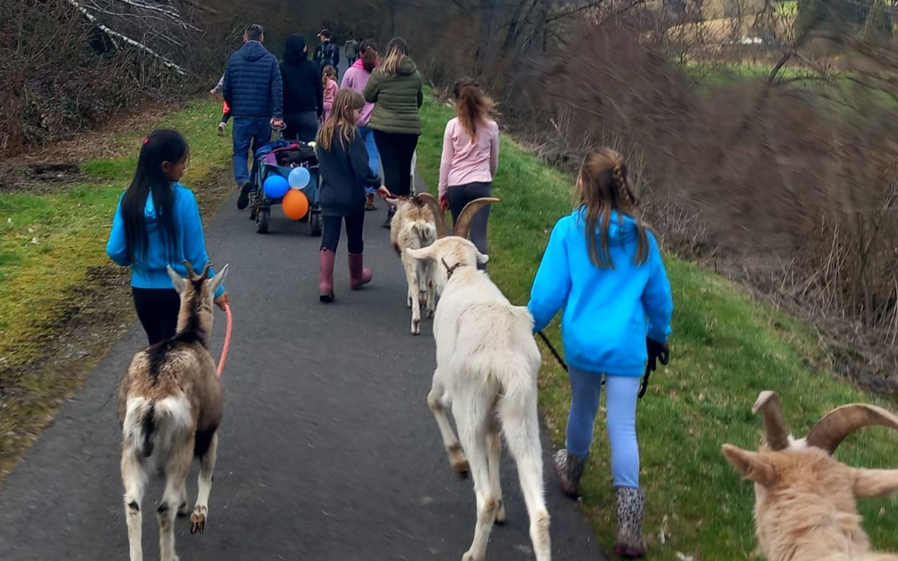 Dass Tiere treue und wunderbare Begleiter im Leben sind, ist kein Geheimnis. Gerade in Zeiten der Trauer knnen sie durch ihre Zuneigung Trost spenden. Im Rahmen einer Ziegenwanderung haben trauernde Familien die Mglichkeit, Freude zu erfahren, Energie zu tanken und in Austausch zu kommen. (Foto: Christian Kucharz)