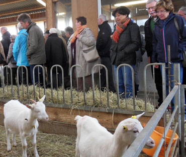 Die Wandergruppe aus Bad Marienberg lie sich zum Thema Ziegen informieren. Fotos: pr