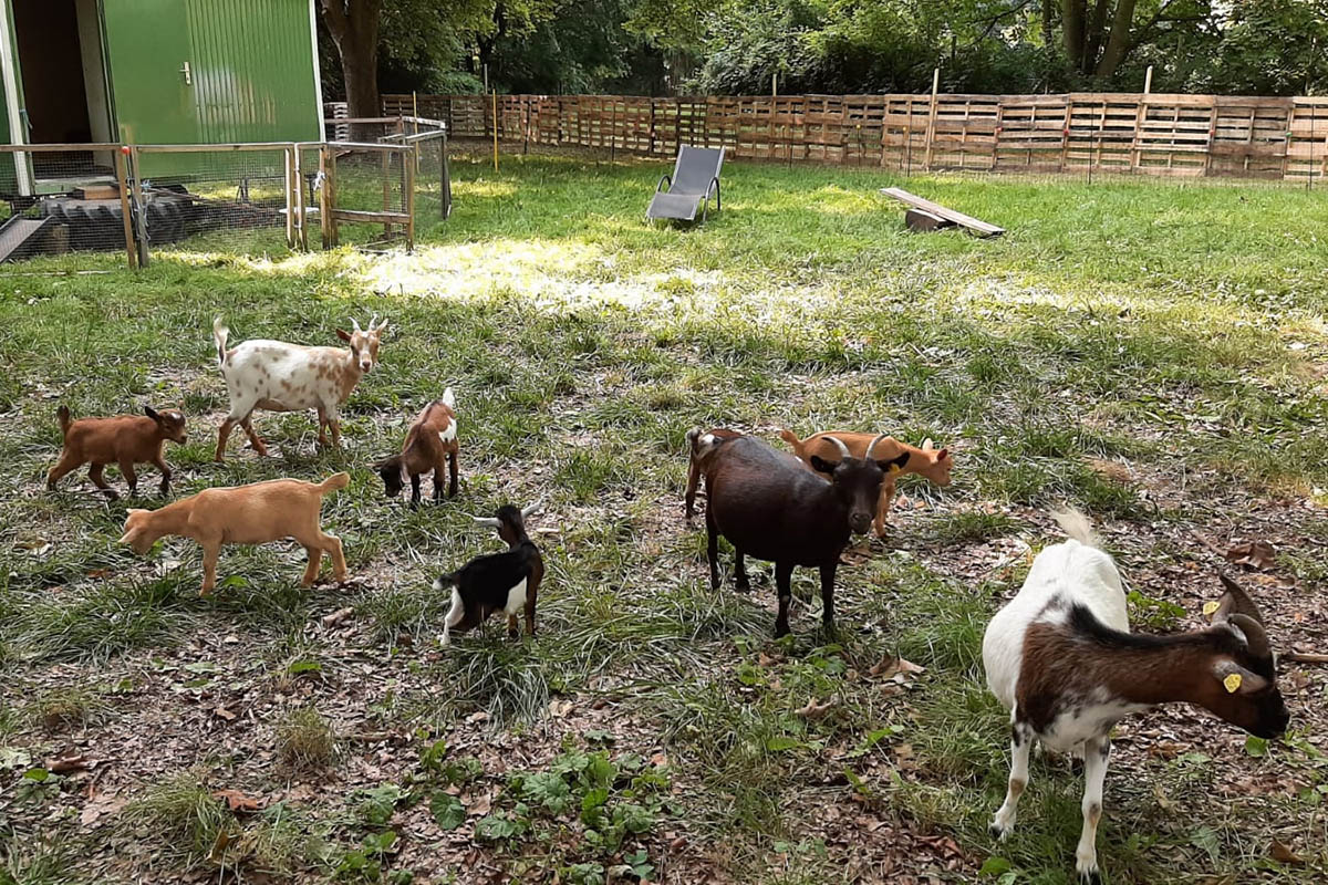 Ferienspa im Brgerpark Unkel