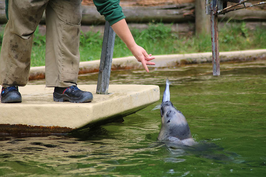 Sommerausflug der Gundlach Stiftung fhrte in den Zoo