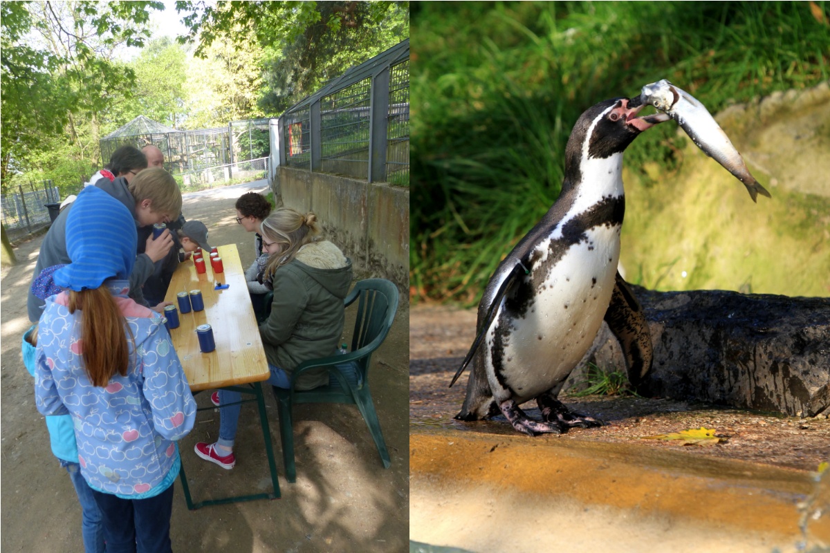 Veranstaltungen im Zoo Neuwied starten wieder