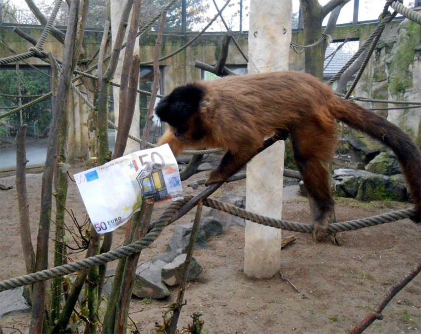 Der Zoo Neuwied ist auf Spenden angewiesen. Foto: Zoo