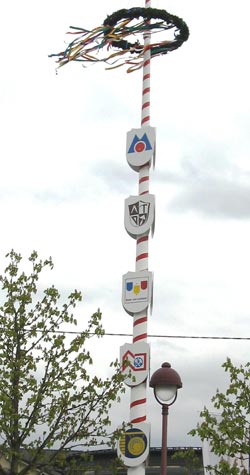 Das Foto zeigt den neuen Horhausener Zunftbaum, der vor wenigen Tagen aufgestellt wurde. Der Baum steht in zentraler Lage im Herzen von Horhausen am Kardinal-Hffner-Platz.  Foto: Petra Schmidt-Markoski